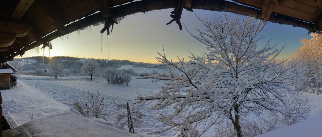 Moja Chata Do Wynajecia Istebna Exterior foto