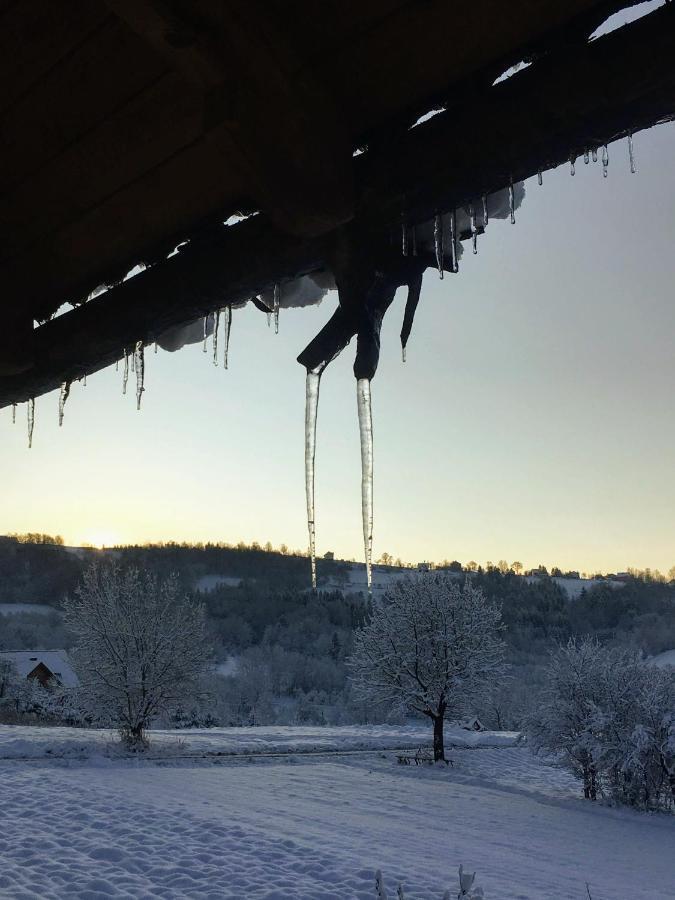 Moja Chata Do Wynajecia Istebna Exterior foto