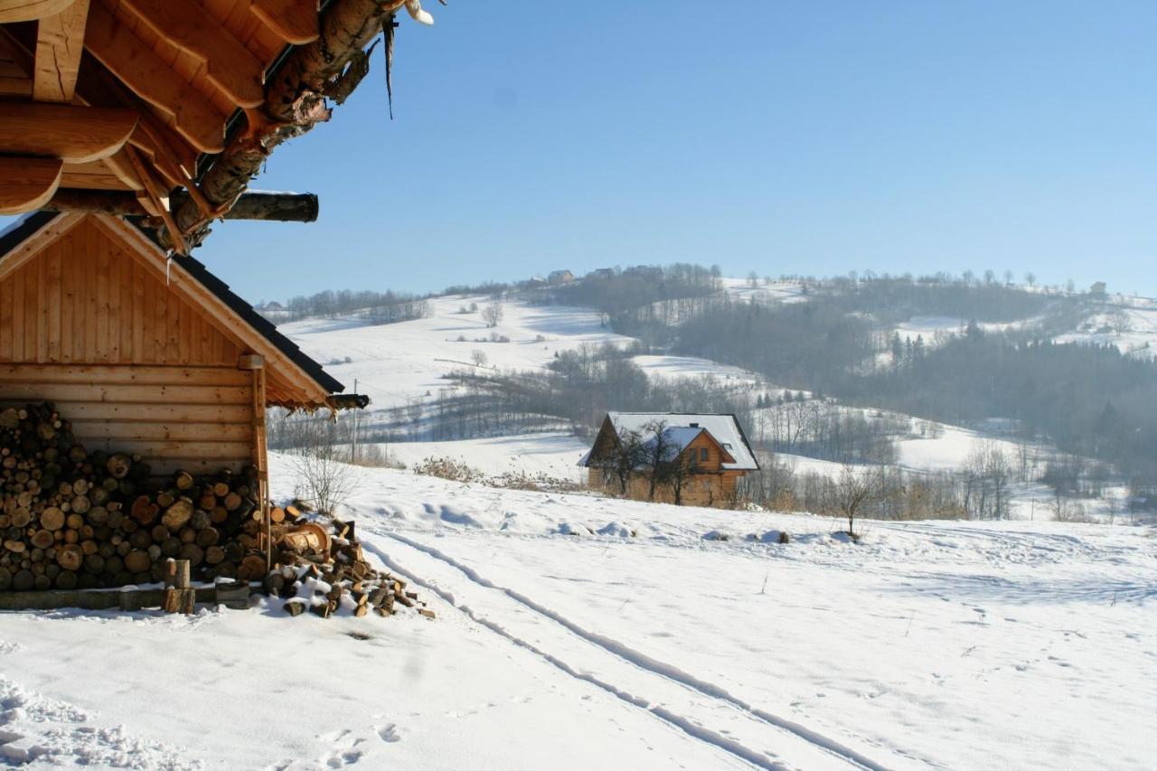 Moja Chata Do Wynajecia Istebna Exterior foto